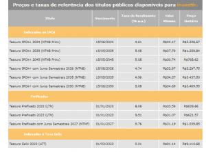 Alta das Taxas do Tesouro Direto - Veja Novos Valores